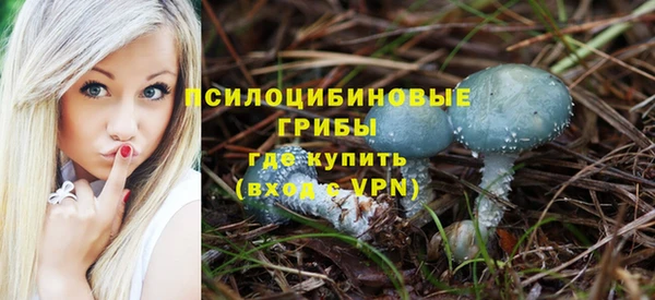 гашик Алзамай