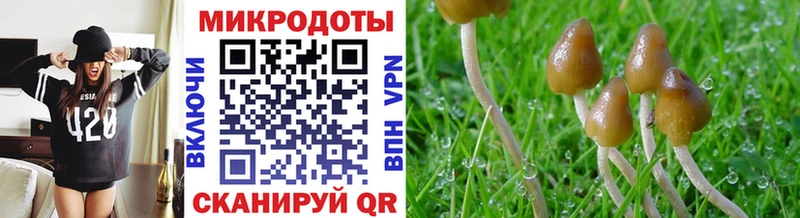 Галлюциногенные грибы ЛСД Татарск